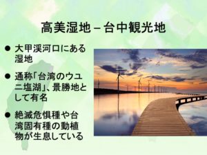 高美湿地
